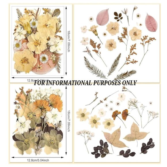Dried Pressed Wildflowers for Crafts (4 Packs) with Tweezers NEW (SKU:203MI) - Picture 8 of 11